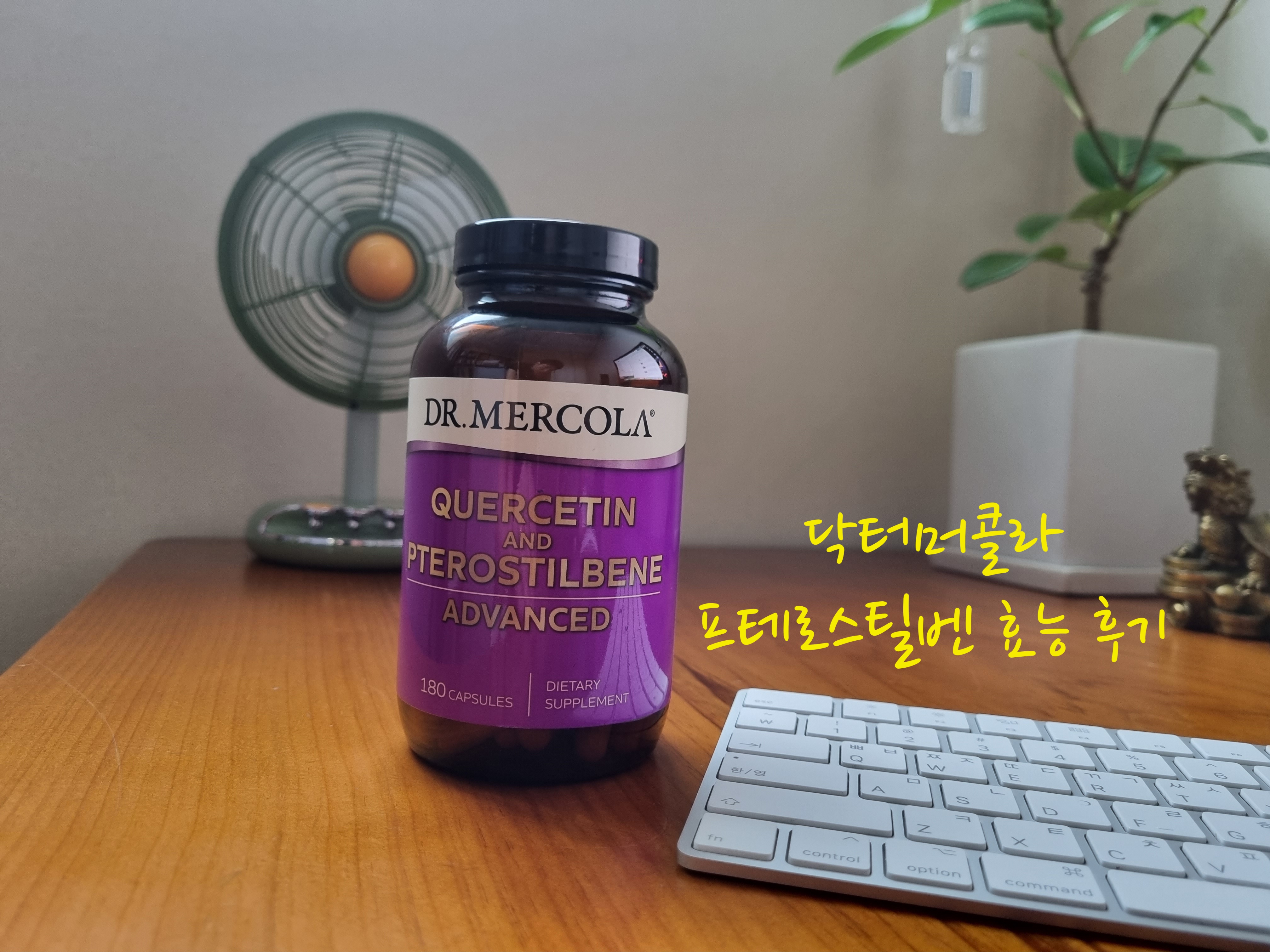 프테로스틸벤 효능