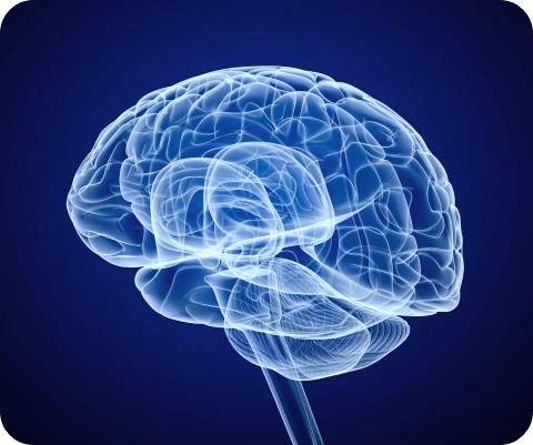 호박씨-효능-부작용