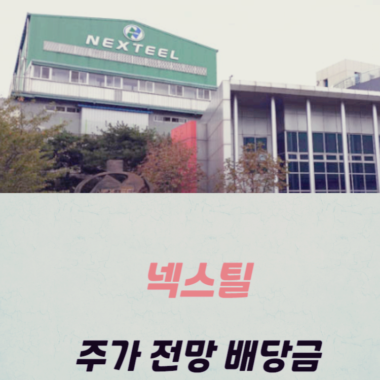 넥스틸 주가 전망 목표주가 배당금