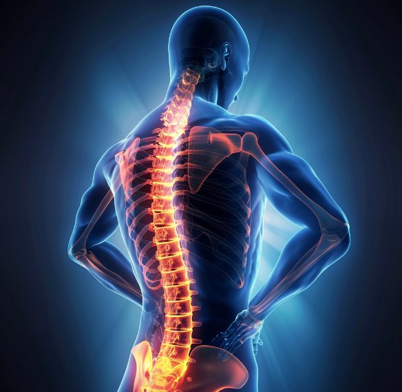 허리 삐끗했을 때