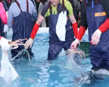 울진 대게축제_23