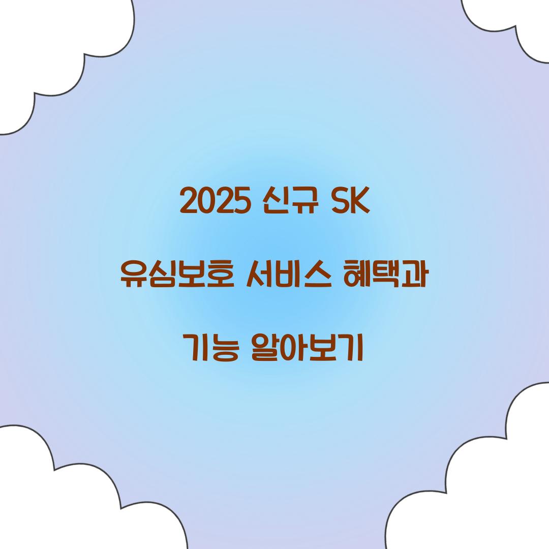 2025 신규 SK 유심보호 서비스 기능 및 혜택