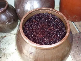 아로니아 효소만드는법과 효능효과 부작용 꽃 엑기스 활용법_10