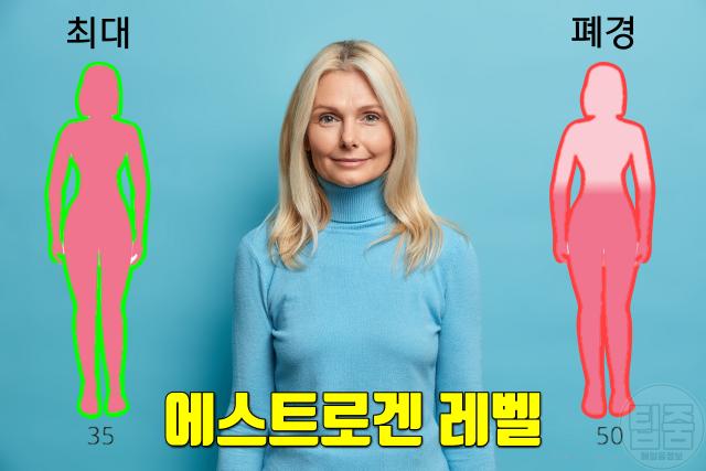 폐경 후 여성 질환 질병