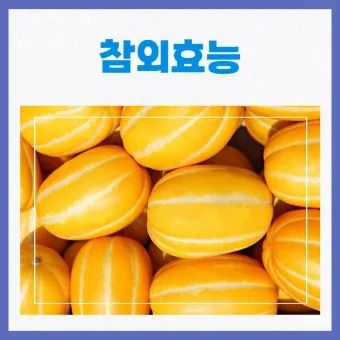 참외 효능 및 영양 정보 섭취 효과 정리_7