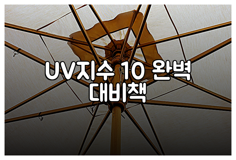 UV지수 10 완벽 대비책