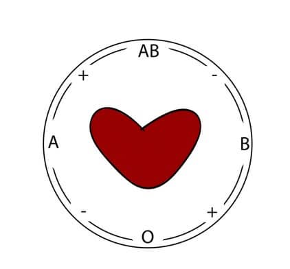 혈액형에 따른 커뮤니케이션 특징