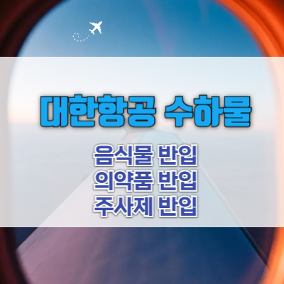 대한항공-수하물-음식-김치-의약품-주사