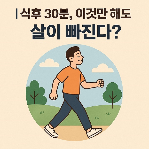 식후 30분 이것만 해도 살이 빠진다