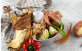 음식물처리기 지원금