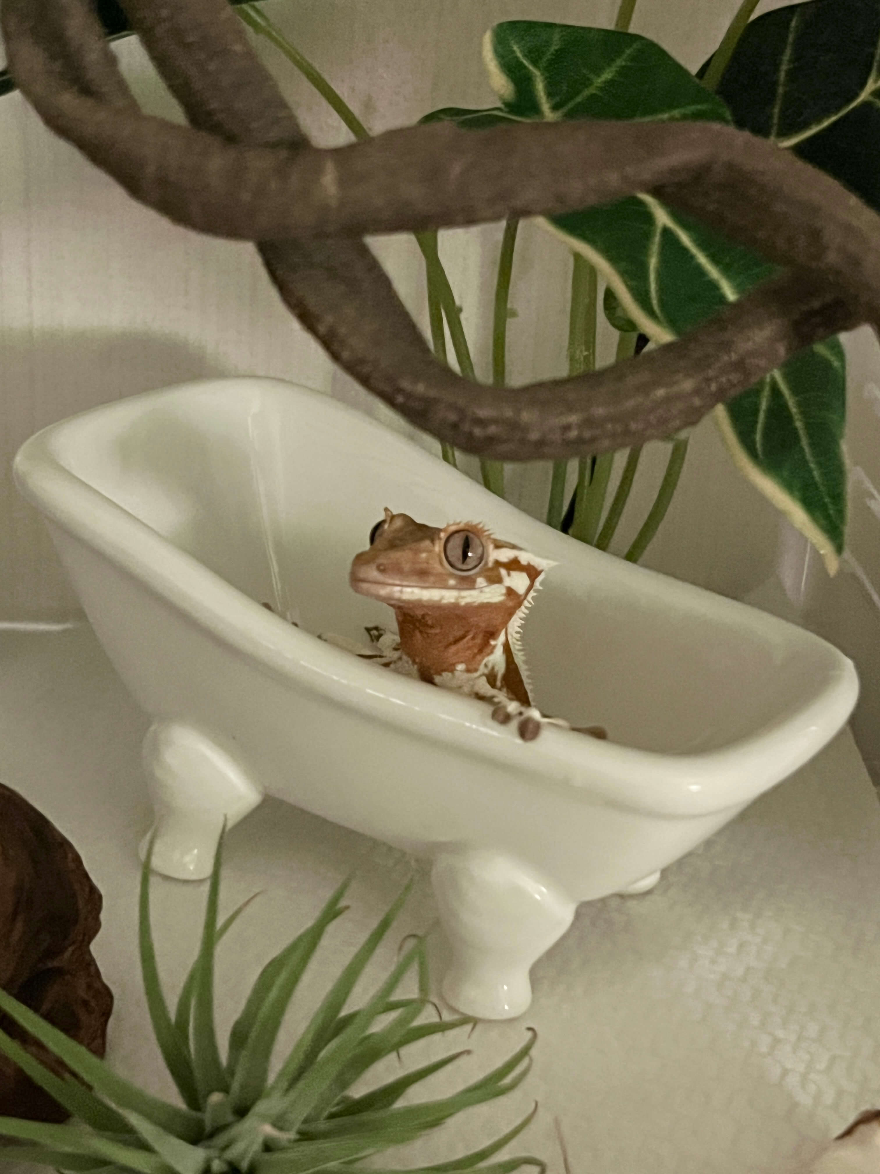 크레 꾸미기 용품