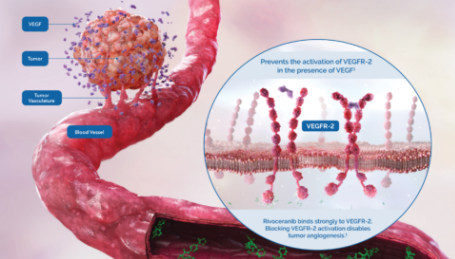 HLB-주가-전망-기업분석-알아보기