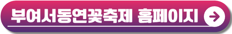 부여서동연꽃축제