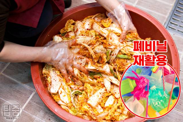 김장 김치 맛있게 담는 법,배추가 물러지는 이유,고무대야