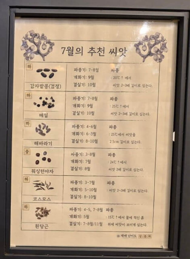 7월 추천 씨앗 그림
