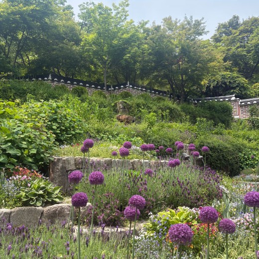 화담숲 수국 축제 예약