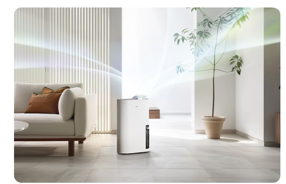 🌿 장마철 필수템! LG 휘센 오브제컬렉션 제습기 DQ134MWEC 리뷰