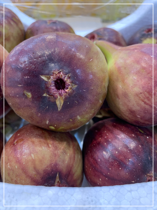 건강한 단맛, 무화과로 채워보세요