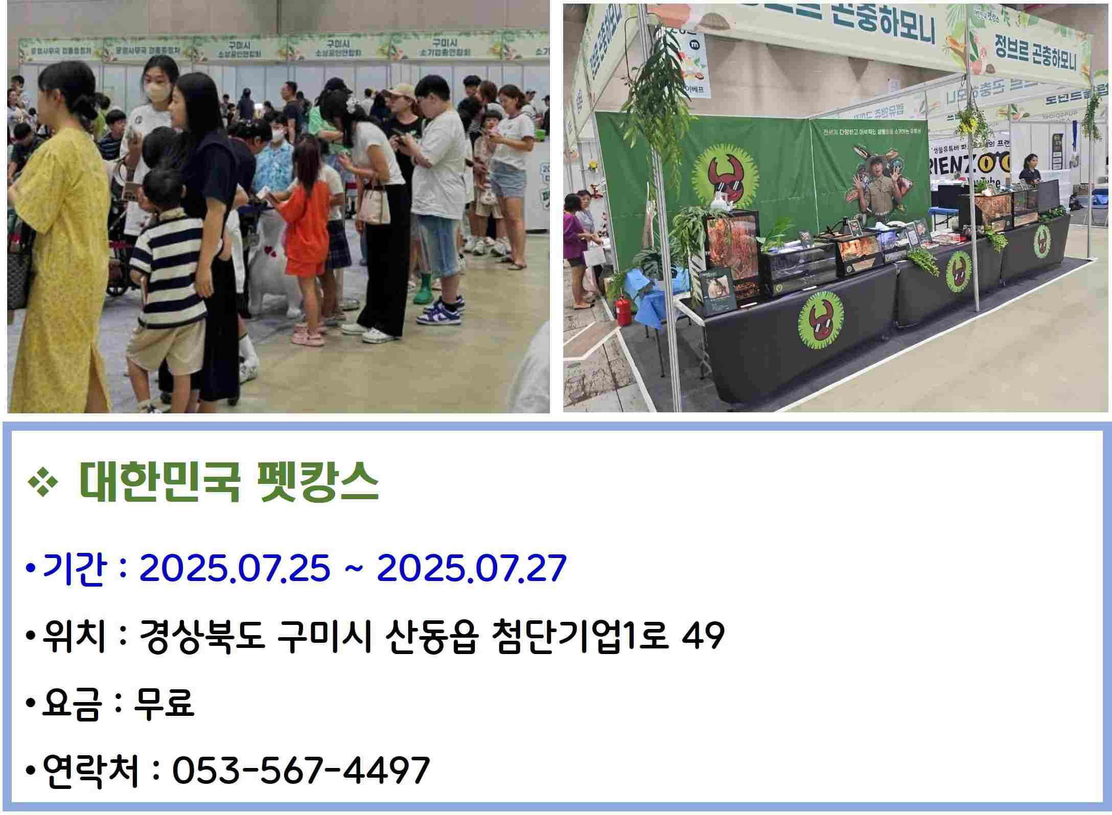 대한민국 펫캉스