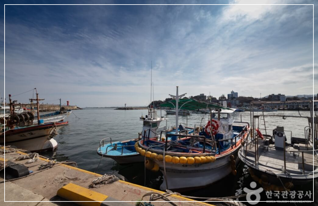 양양 가볼만한곳 베스트10 남애항