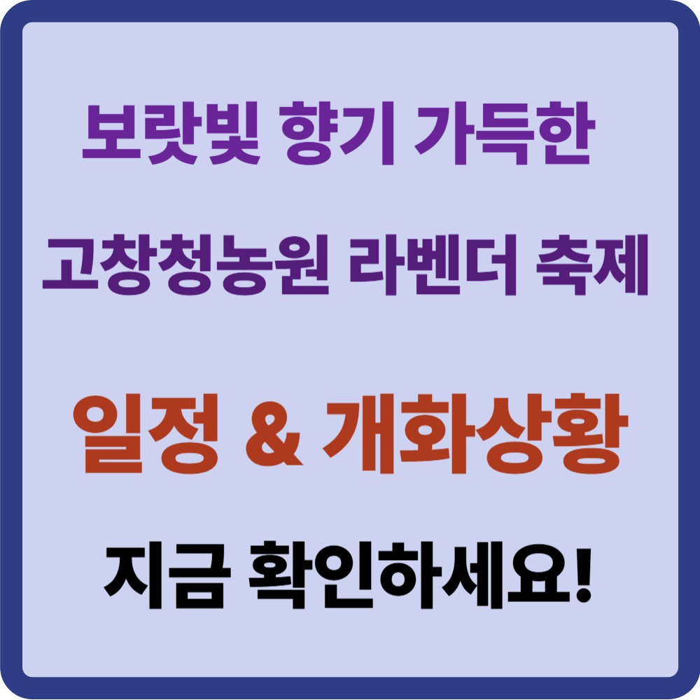 고창청농원 라벤더 축제