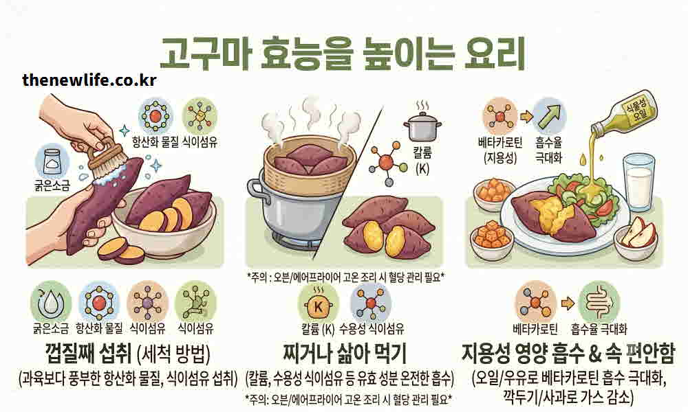 고구마 효능 높이는 요리