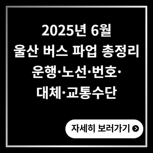 울산 버스 파업 총정리 ❘ 운행·노선·번호·대체·교통수단 2025년 6월