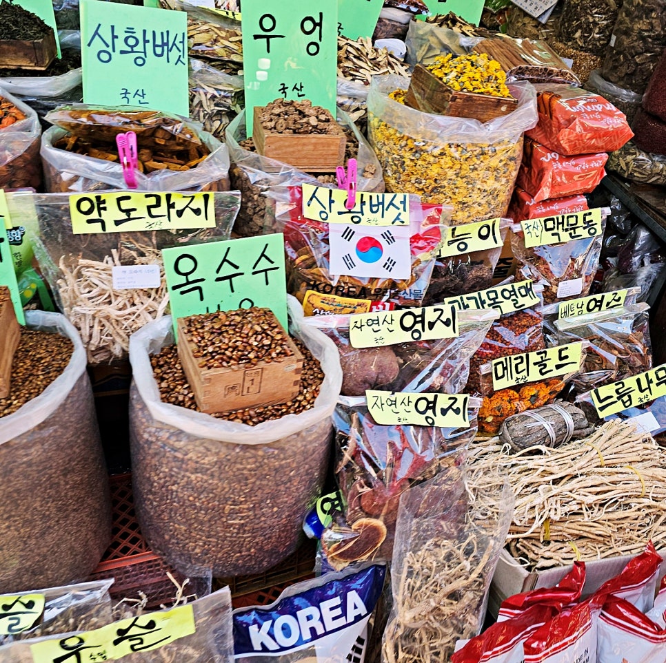 경동시장 이모카세 안동집 손칼국시