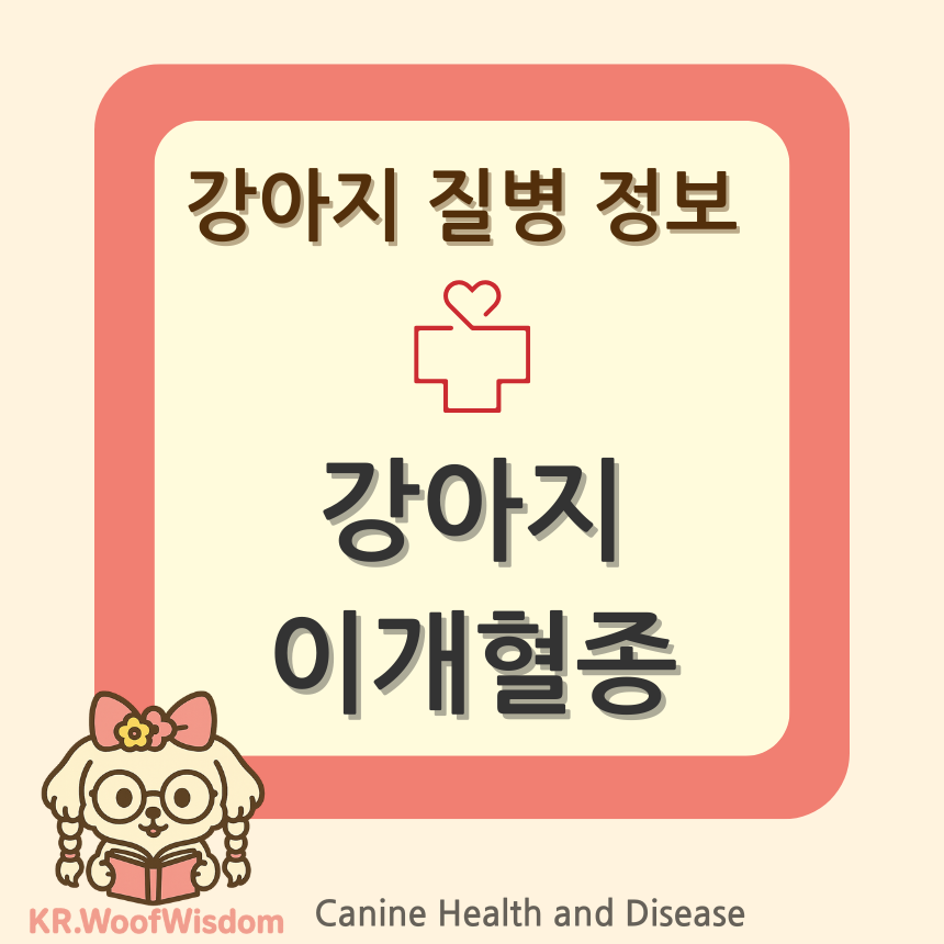 강아지-이개혈종