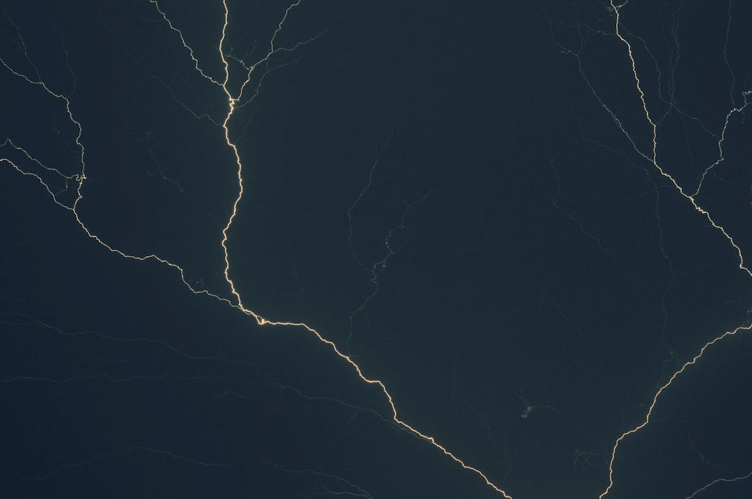 Forecast