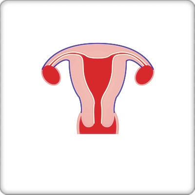 자궁근종증상