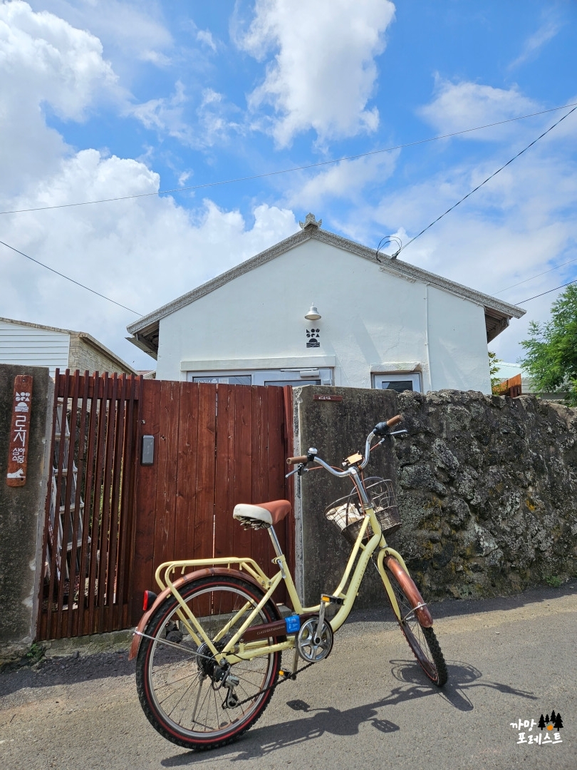 종달리다 로시 심야식당