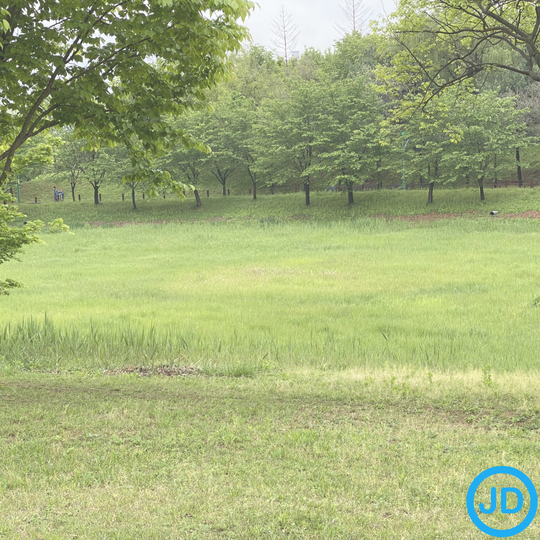 수면보조제 추천 멜라토닌 GABA 테아닌 마그네슘 불면증 수면유도제 약국 인기 영양제 TOP10 ❘ 천연 숙면제 효능 부작용 후기 비교