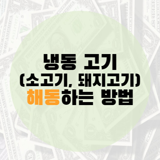 냉동 소고기 해동 방법