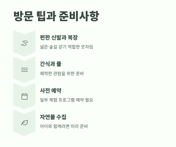 월아산 수국축제 2025 11