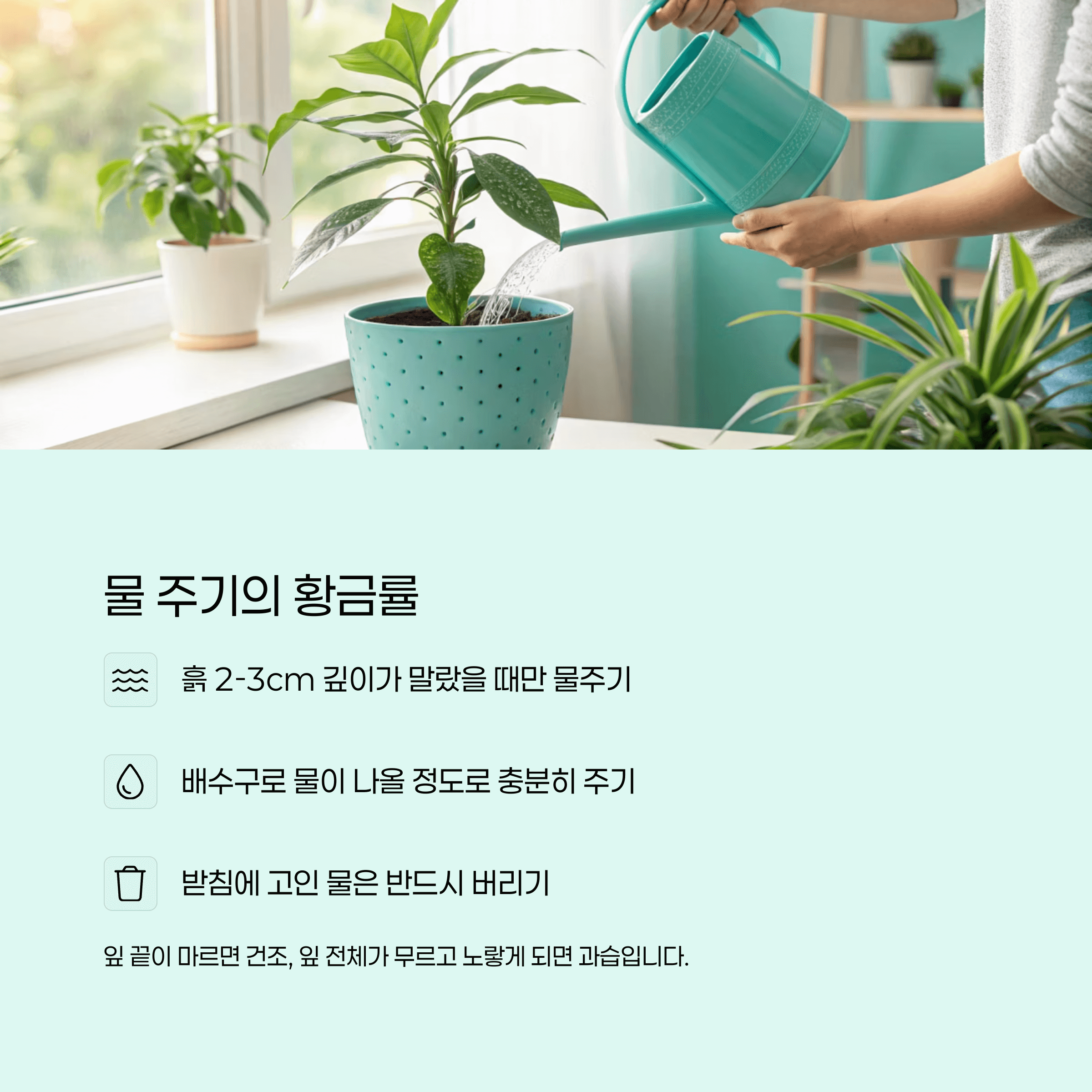 반려식물