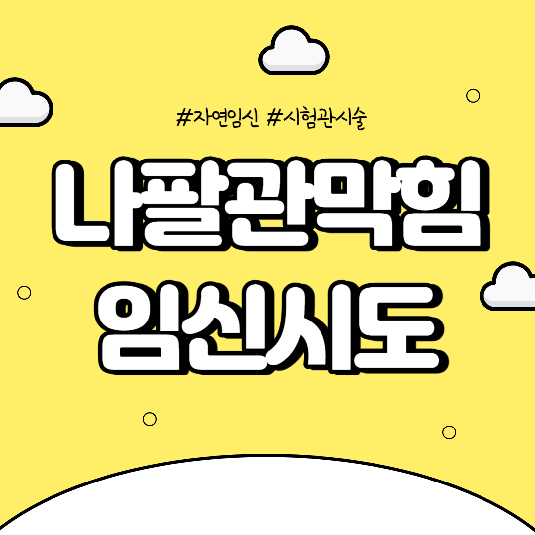 나팔관 막힘 임신시도