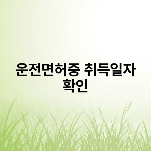 운전면허증 취득일자 확인