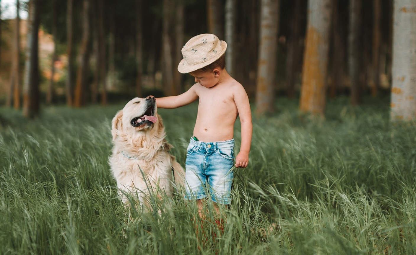 아기와 반려동물의 관계 – 아기와 강아지/고양이가 함께 지낼 때 주의할 점