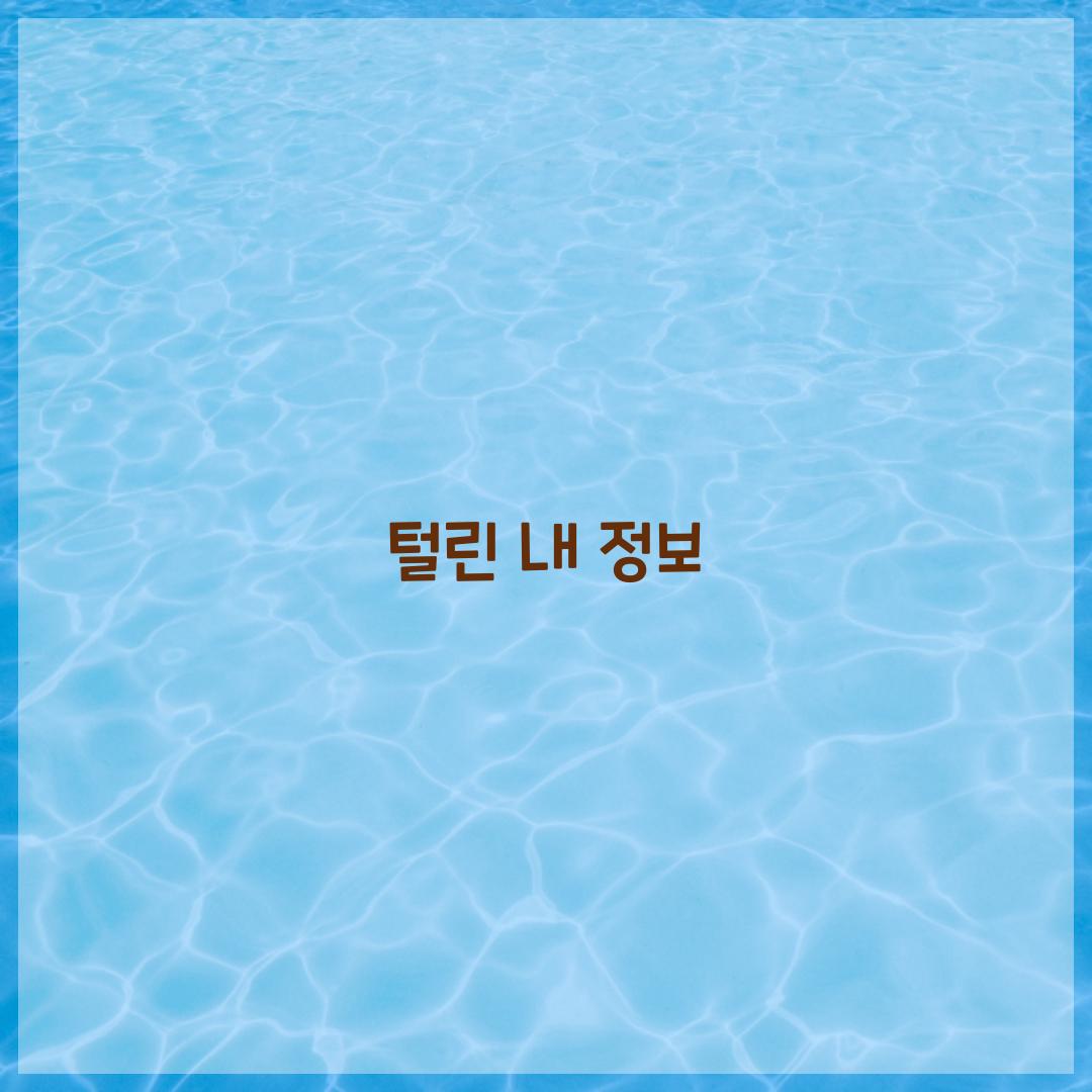 털린 내 정보