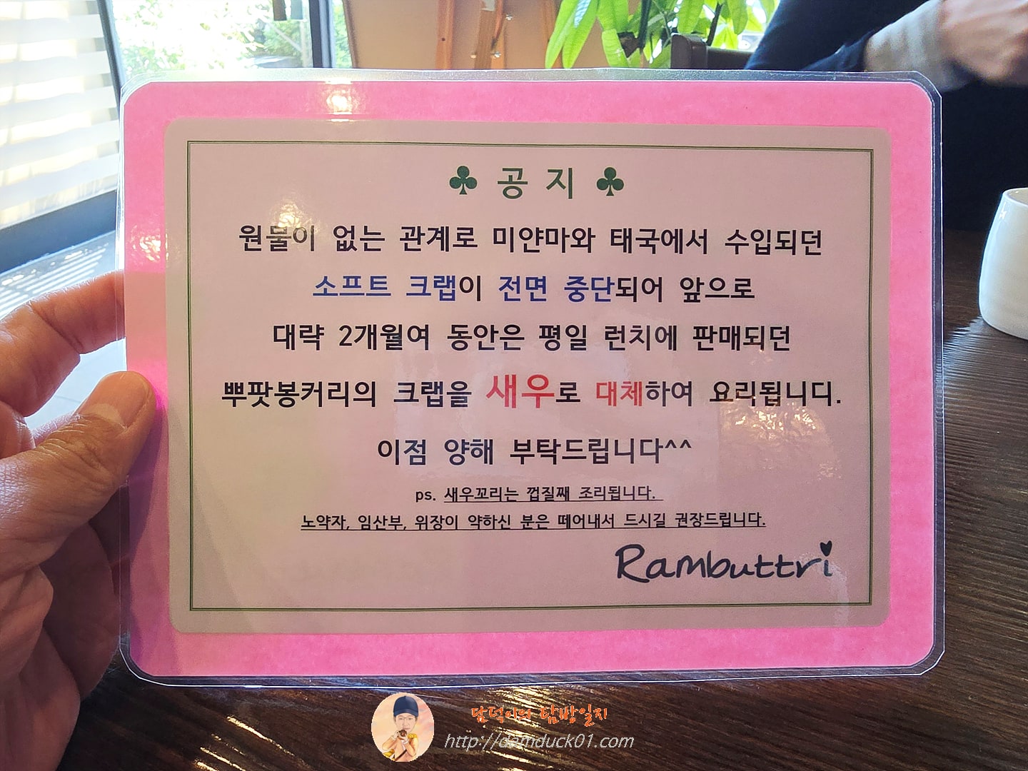 람부뜨리 공지