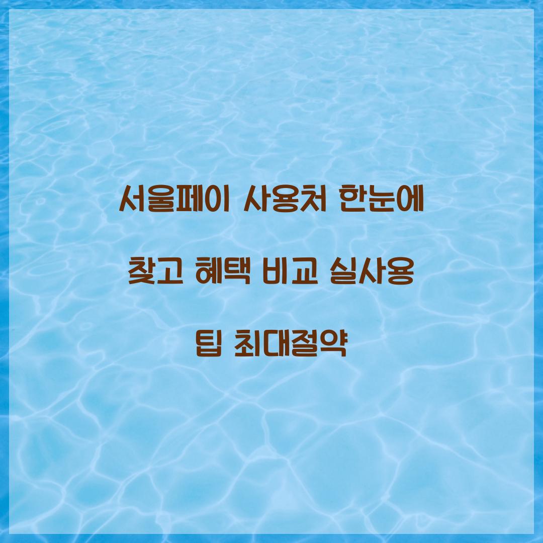 서울페이 사용처