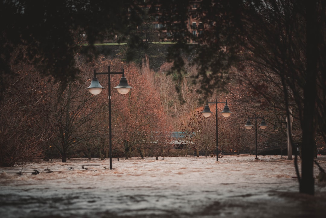 Flood.