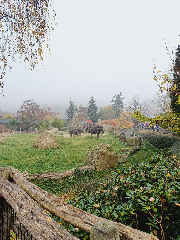 프라하 동물원