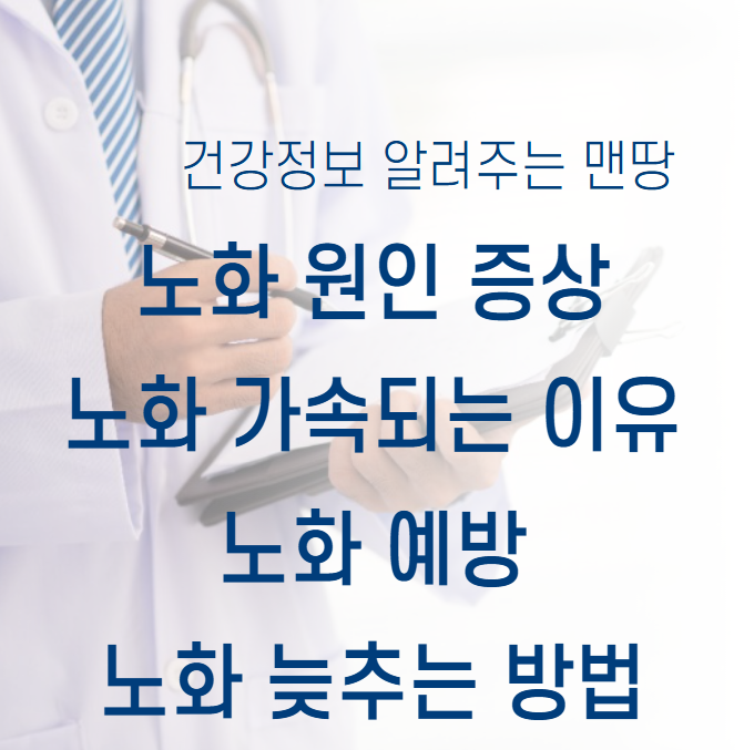 노화