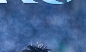 임영웅 아임 히어로 더 스타디움