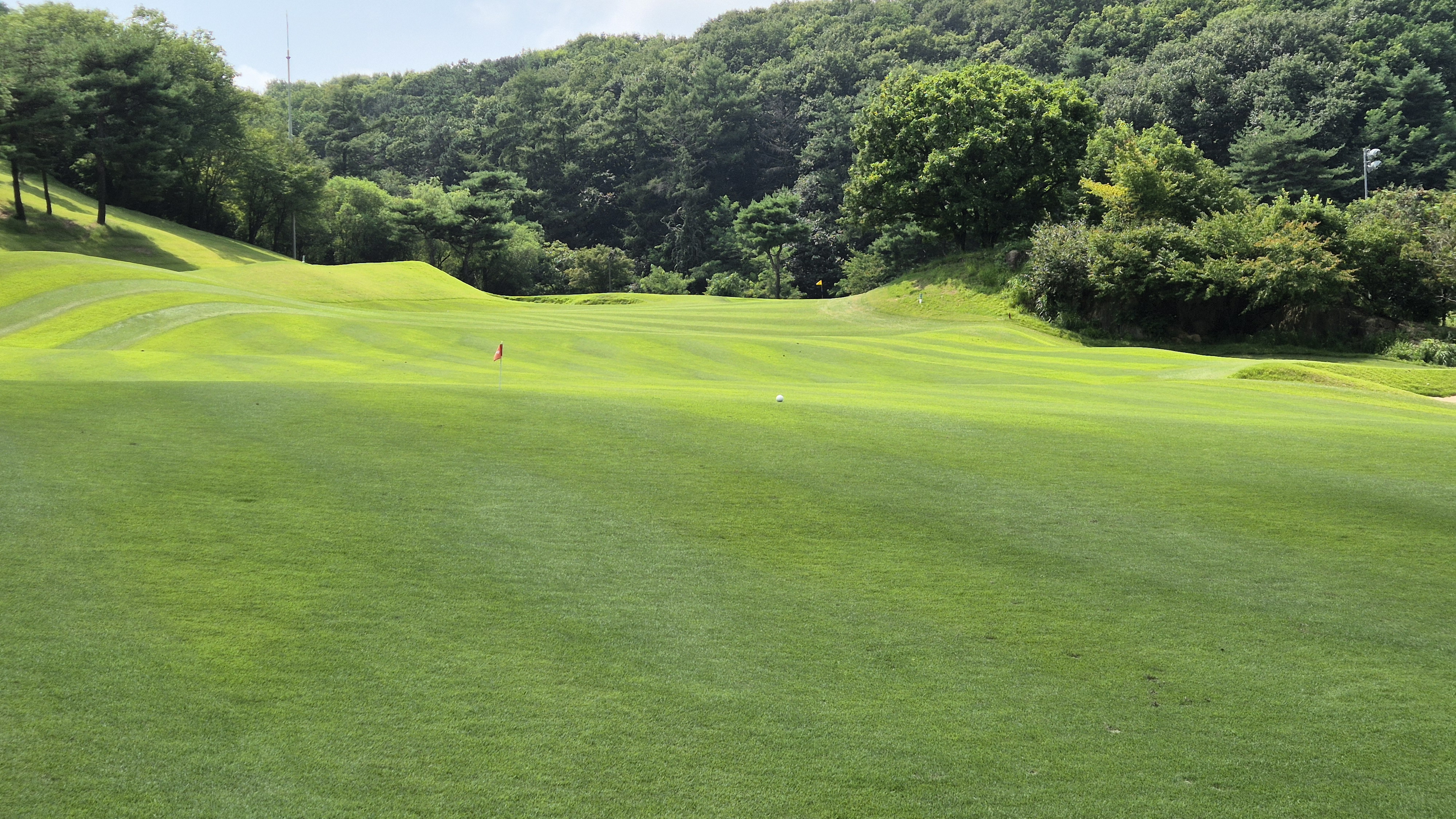 골프존카운티 안성H