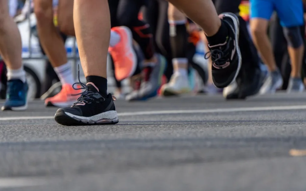 관절과 뼈건강 강화