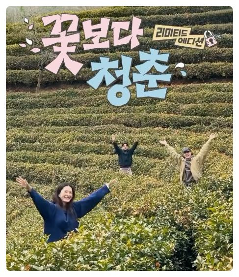 '꽃보다 청춘 리미티드 에디션' 첫방송 정유미 박서준 최우식의 생고생 여행기: 몇부작 OTT 줄거리 완벽 정리