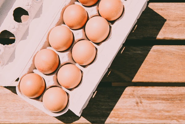 콜레스테롤 정상수치